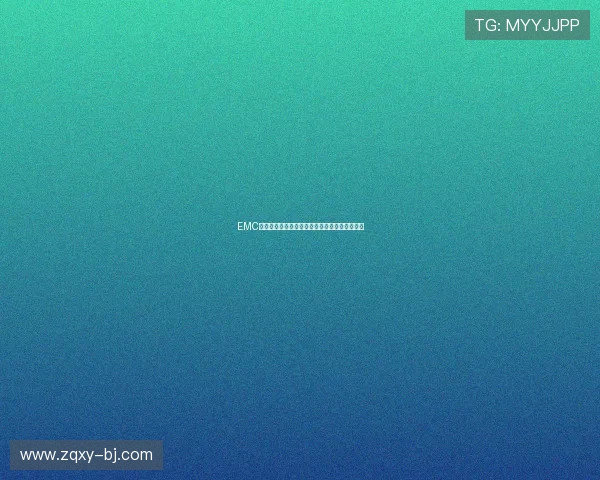 EMC全站体育下载平台最新功能攻略与使用技巧解析